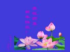 ֹ,ػʵ󷨵ӹףʦ(20)