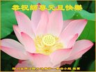 ֹ,Ĵ󷨵ӹףʦ(20)