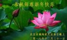 法轮功,北京大法弟子恭祝师尊新年好(32条)