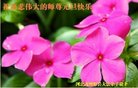 ֹ,󷨵ӹףʦ(25)