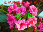 ֹ,󷨵ӹףʦ(21)