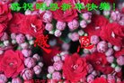 ֹ,󷨵ӹףʦ(21)