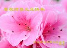 ֹ,ӱ󷨵ӹףʦ(26)