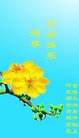 ֹ,ӱ󷨵ӹףʦ(26)