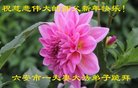 ֹ,մ󷨵ӹףʦ(23)