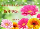 ֹ,ϴ󷨵ӹףʦ(19)
