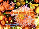 ֹ,󷨵ӹףʦ(20)