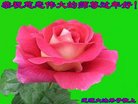 ֹ,ʡ󷨵ӹףʦ(24)