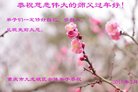 法轮功,重庆大法弟子恭祝师尊新年好(24条)