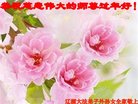 ֹ,ʡ󷨵ӹףʦ(24)
