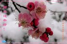 ֹ,󷨵ӹףʦ(22)