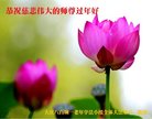 ֹ,󷨵ӹףʦ(22)