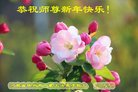法轮功,河南大法弟子恭祝师尊新年好(25条)