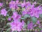 ֹ,󷨵ӹףʦ(22)