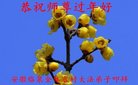 ֹ,մ󷨵ӹףʦ(23)