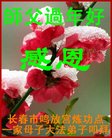 ֹ,󷨵ӹףʦ(22)