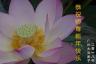 ֹ,ݴ󷨵ӹףʦ(23)