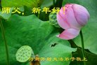 ֹ,ϴ󷨵ӹףʦ(25)
