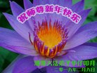 ֹ,ϴ󷨵ӹףʦ(23)