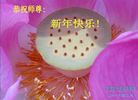 法轮功,石家庄大法弟子恭祝师尊新年好(25条)