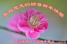 ֹ,ɶ󷨵ӹףʦ(22)