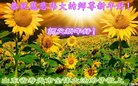 ֹ,Ϋ󷨵ӹףʦ(26)