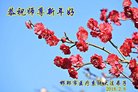 ֹ,ӱ󷨵ӹףʦ(29)