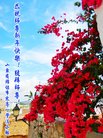 ֹ,Ϋ󷨵ӹףʦ(26)