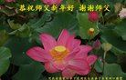 ֹ,żҿڴ󷨵ӹףʦ(24)