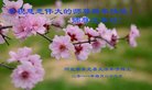 ֹ,ӱ󷨵ӹףʦ(21)