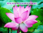 ֹ,ʯׯ󷨵ӹףʦ(25)