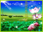 ֹ,ʡ󷨵ӹףʦ(20)