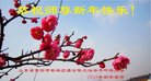 法轮功,山东大法弟子恭祝师尊新年好(18条)