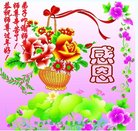法轮功,河北大法弟子恭祝师尊新年好(21条)
