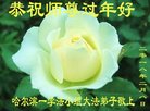 ֹ,󷨵ӹףʦ(22)