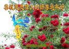法轮功,山西大法弟子恭祝师尊新年好(22条)