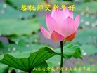 法轮功,山东大法弟子恭祝师尊新年好(24条)