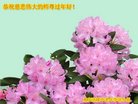 ֹ,󷨵ӹףʦ(24)