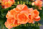 ֹ,ӱ󷨵ӹףʦ(26)