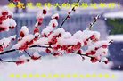 ֹ,󷨵ӹףʦ(25)