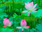 法轮功,江西大法弟子恭祝师尊新年好(23条)