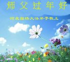 ֹ,ӱ󷨵ӹףʦ(26)