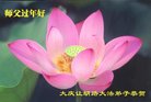 ֹ,󷨵ӹףʦ(21)