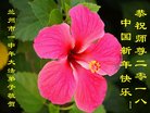 ֹ,󷨵ӹףʦ(22)