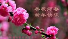 ֹ,ʡ󷨵ӹףʦ(24)