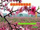 ֹ,ɹŴ󷨵ӹףʦ(23)