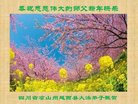 ֹ,Ĵ󷨵ӹףʦ(21)
