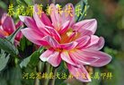 ֹ,󷨵ӹףʦ(25)