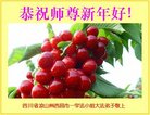 ֹ,Ĵ󷨵ӹףʦ(21)