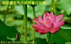 ֹ,󷨵ӹףʦ(20)